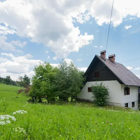 Vista Cerklje na Gorenjskem